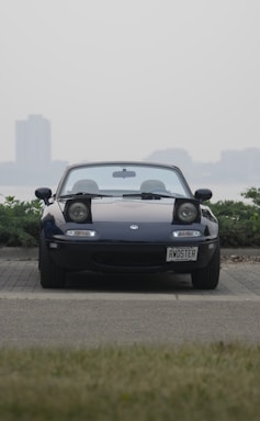 A black convertible sports car with the headlights popped up is parked facing the camera. It has a license plate that reads 'RWDSTER'. The background consists of a hazy skyline with a couple of tall buildings visible in the distance and some greenery by the road.