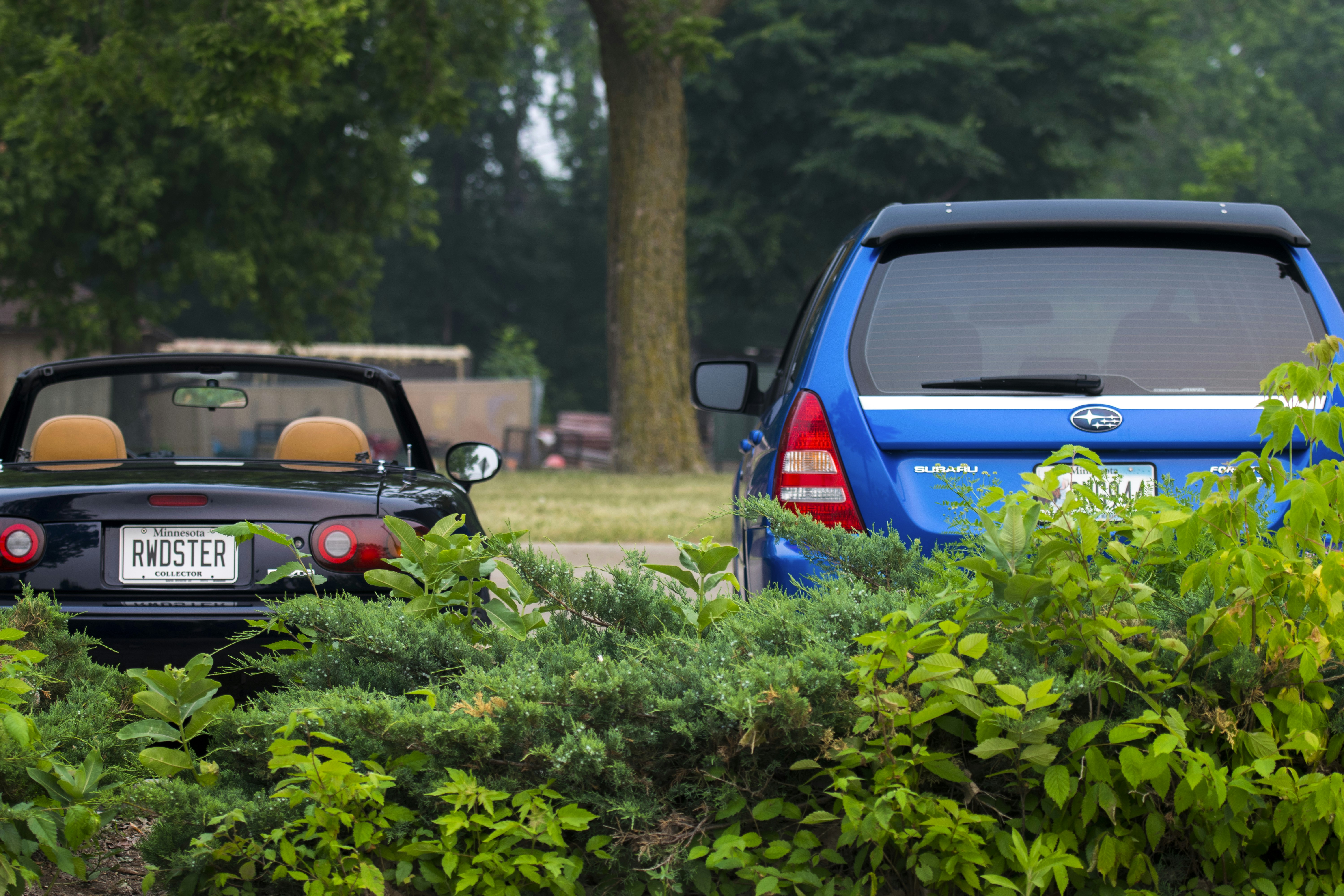 Forester Township, Michigan