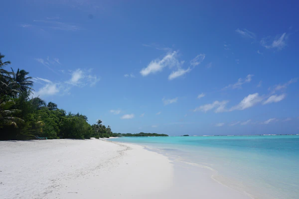 Belle Mare & North Mauritius photo 2
