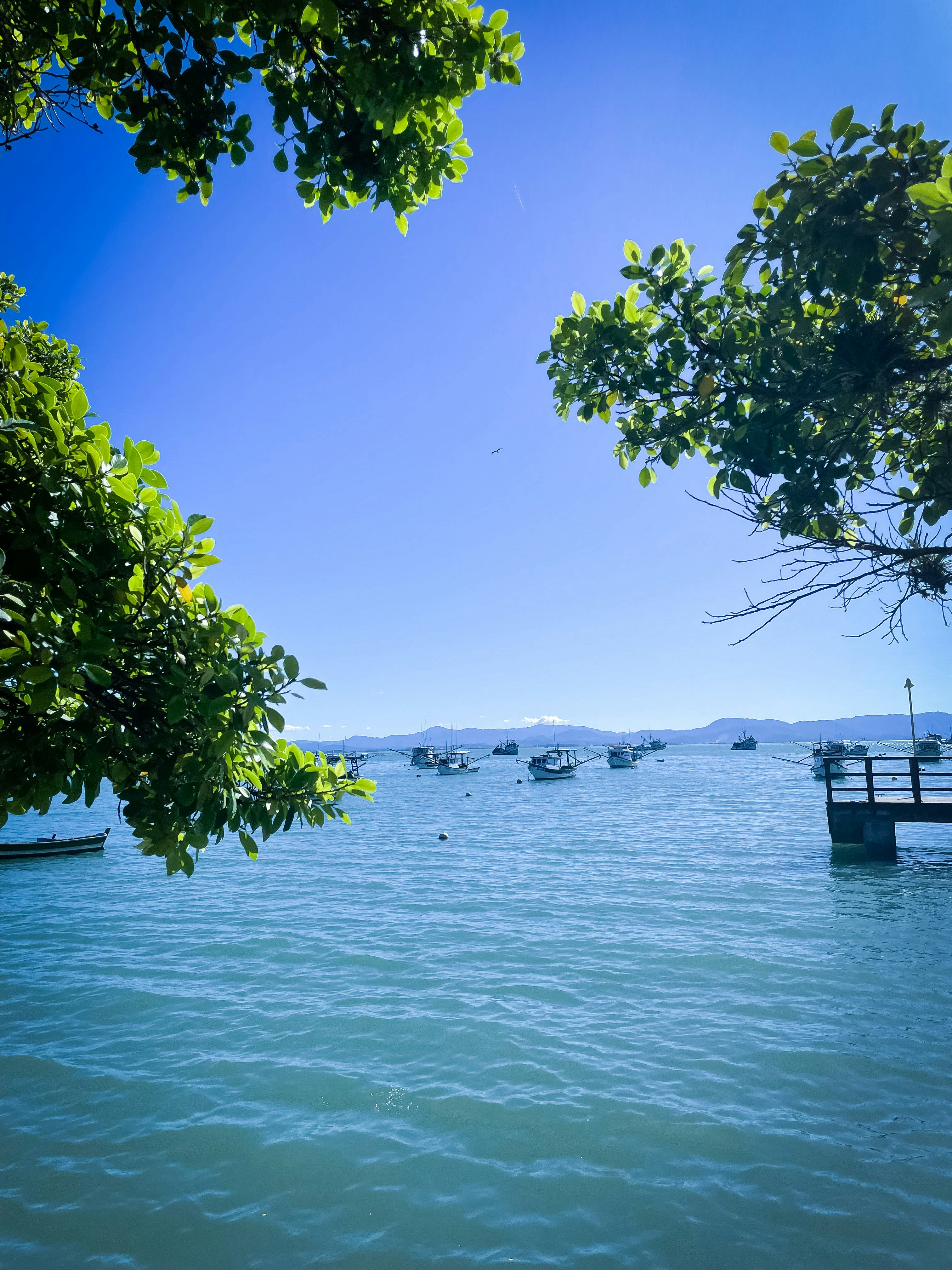 Photo by veronica_rb