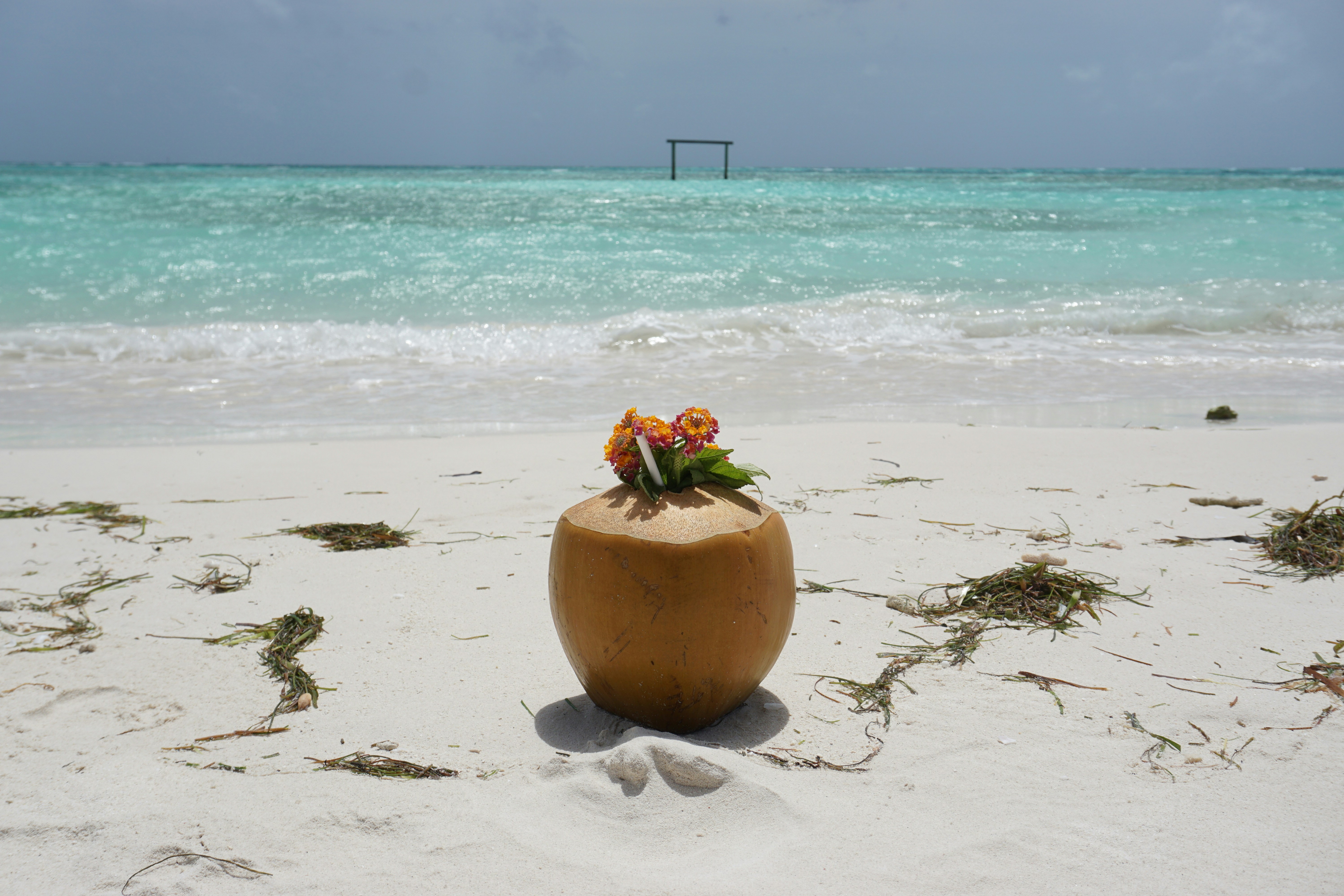 eine Kokosnuss am Strand mit Blumen darin