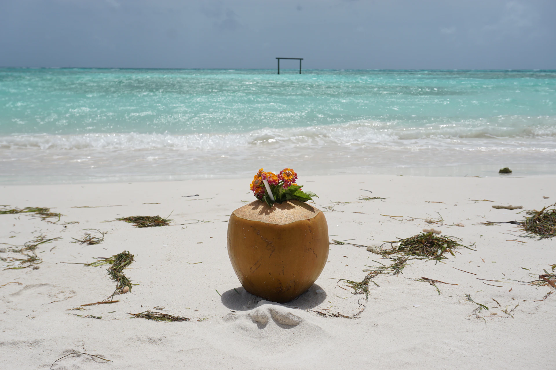 a coconut on the beach with flowers in it