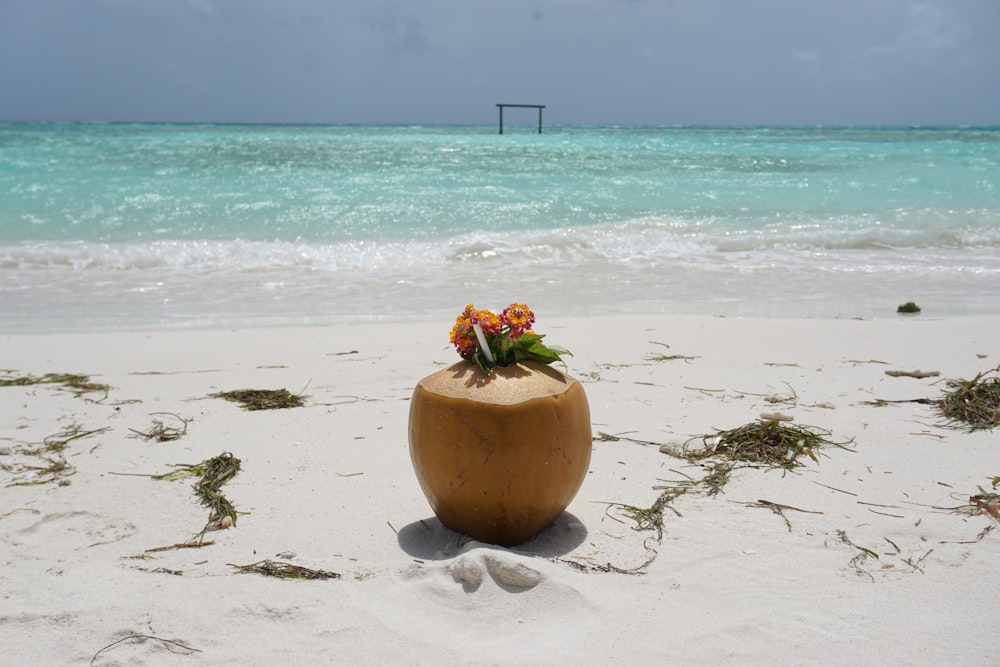 a coconut on the beach with flowers in it