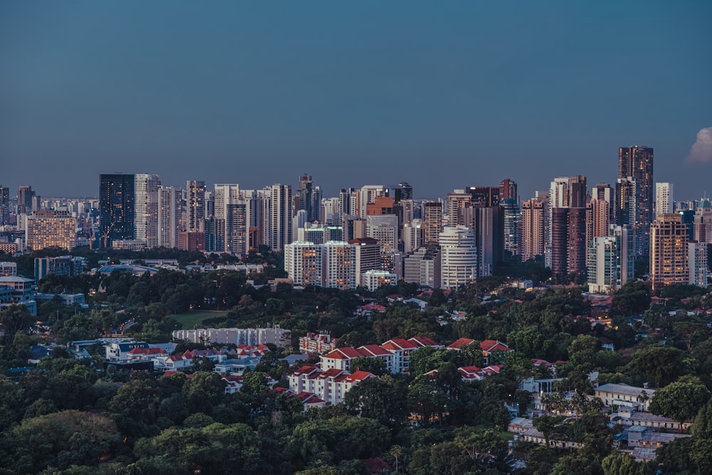 a view of a city with tall buildings