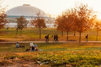 a group of people sitting on top of a lush green field