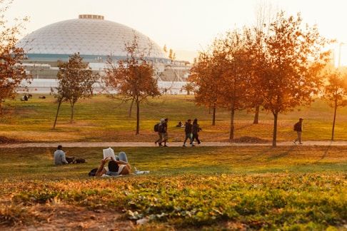 a group of people sitting on top of a lush green field