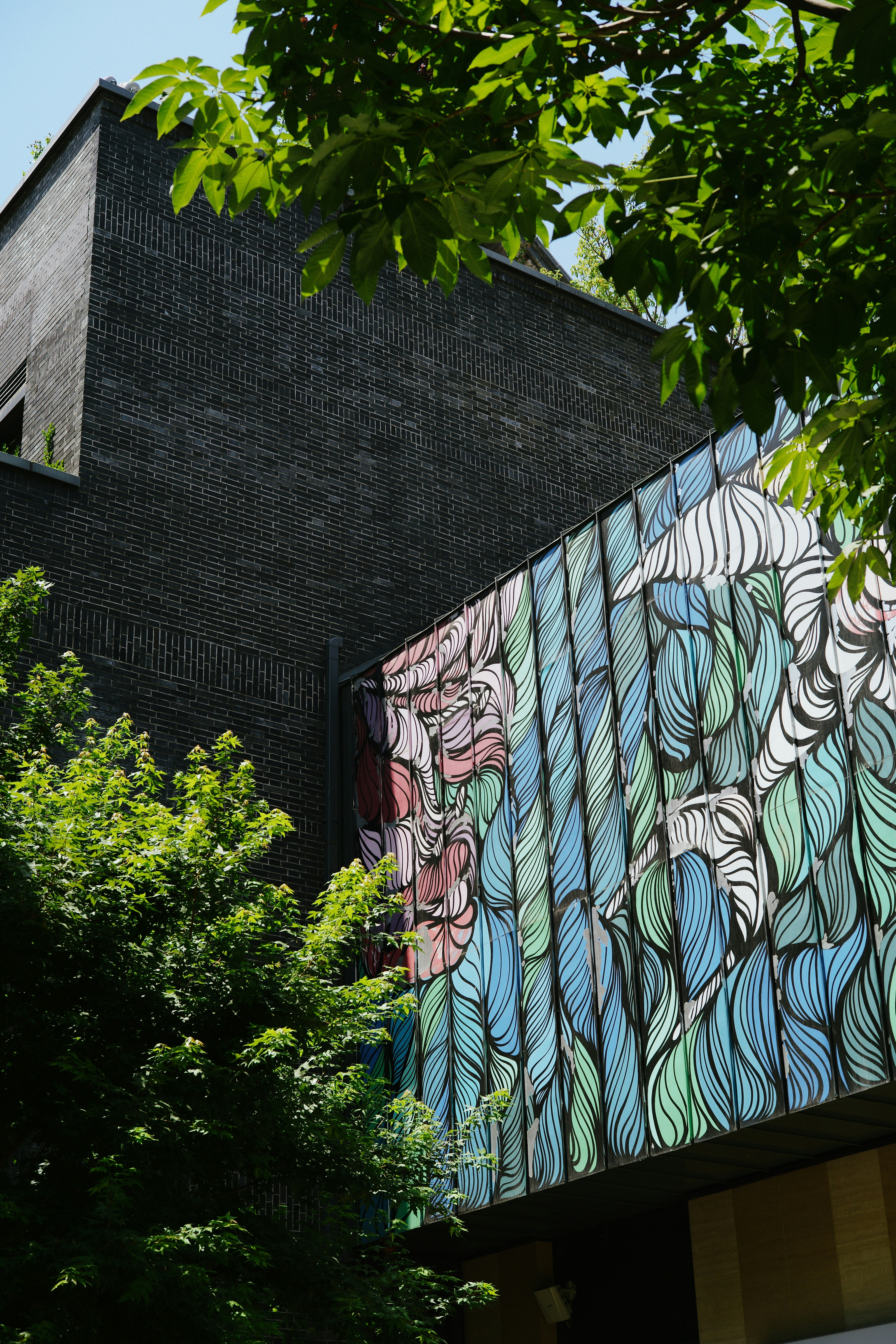 Photo by tommaomaoer