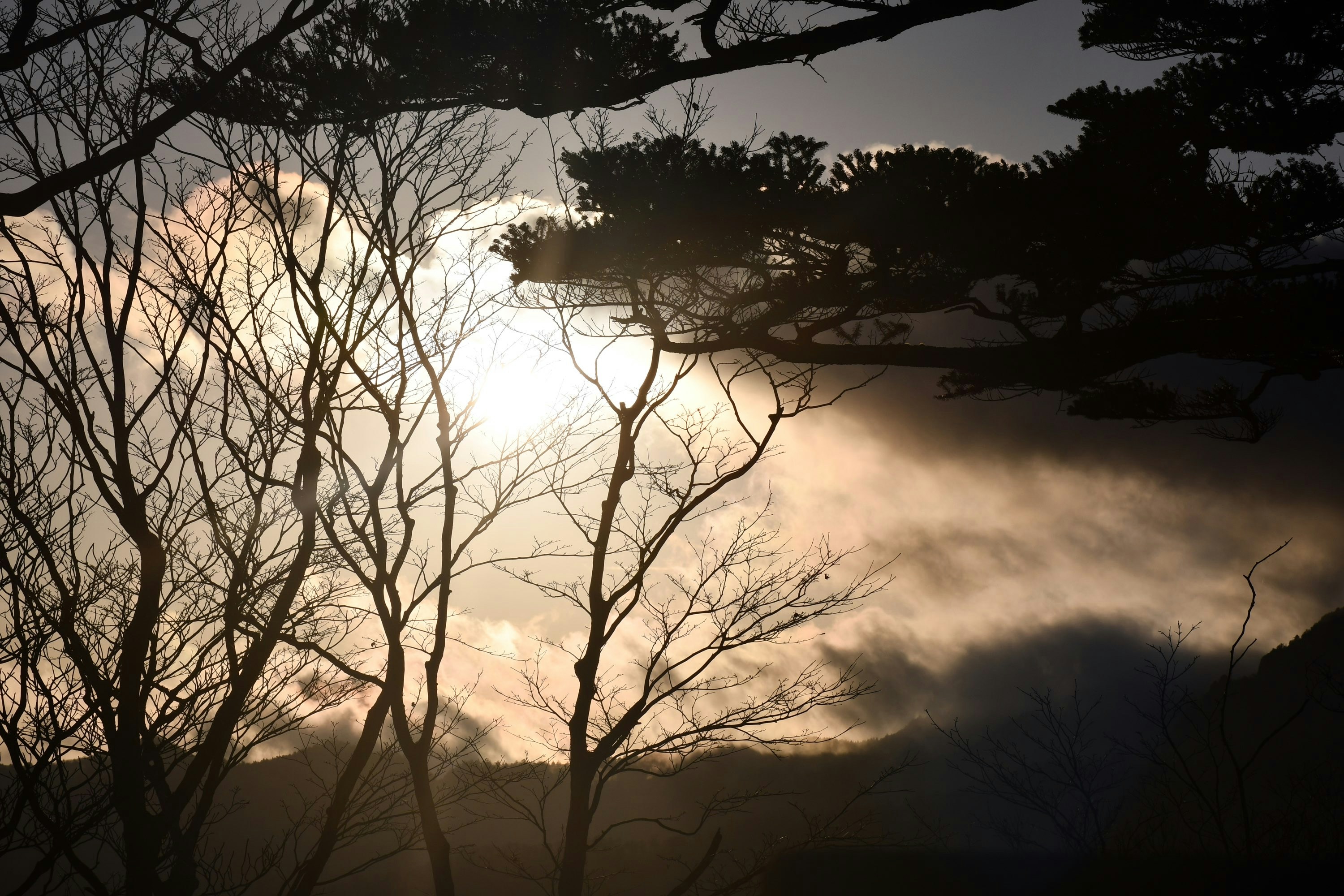 Photo by naturepic4free