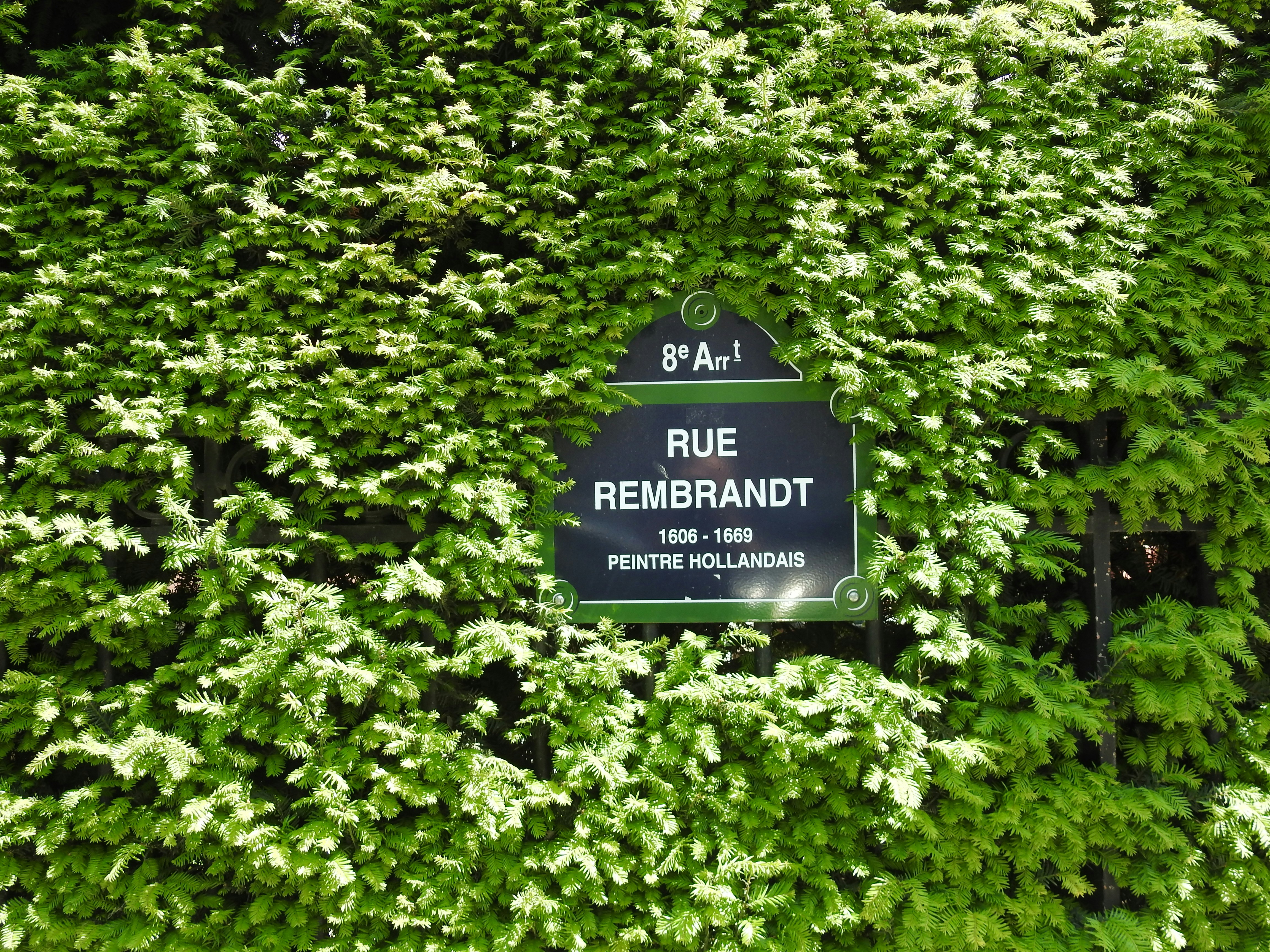 a black and white sign surrounded by green plants