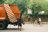 A person is placing branches into the back of an orange garbage truck on a street lined with trees. Another individual is riding a bicycle nearby. The surroundings are urban with a mix of greenery.