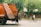 A person is placing branches into the back of an orange garbage truck on a street lined with trees. Another individual is riding a bicycle nearby. The surroundings are urban with a mix of greenery.
