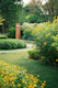 a lush green field filled with lots of yellow flowers