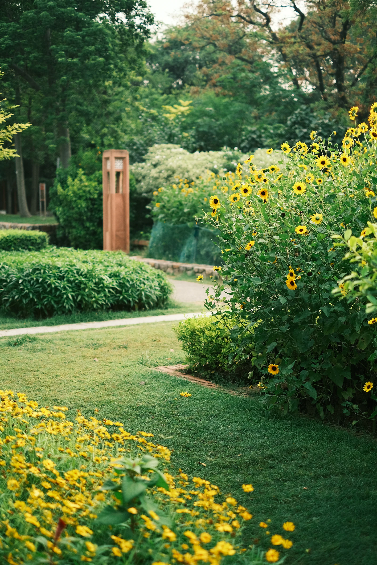 Native Plants vs Turf Lawn: What Actually Cuts Water Use and Mowing Costs
