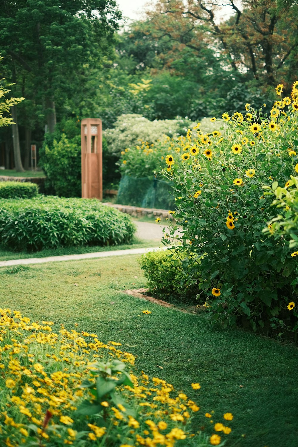 a lush green field filled with lots of yellow flowers