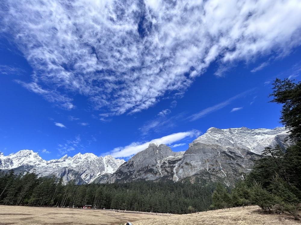 a field with a mountain range in the background