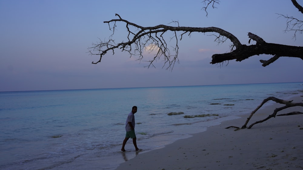 a man walking along a beach next to the ocean