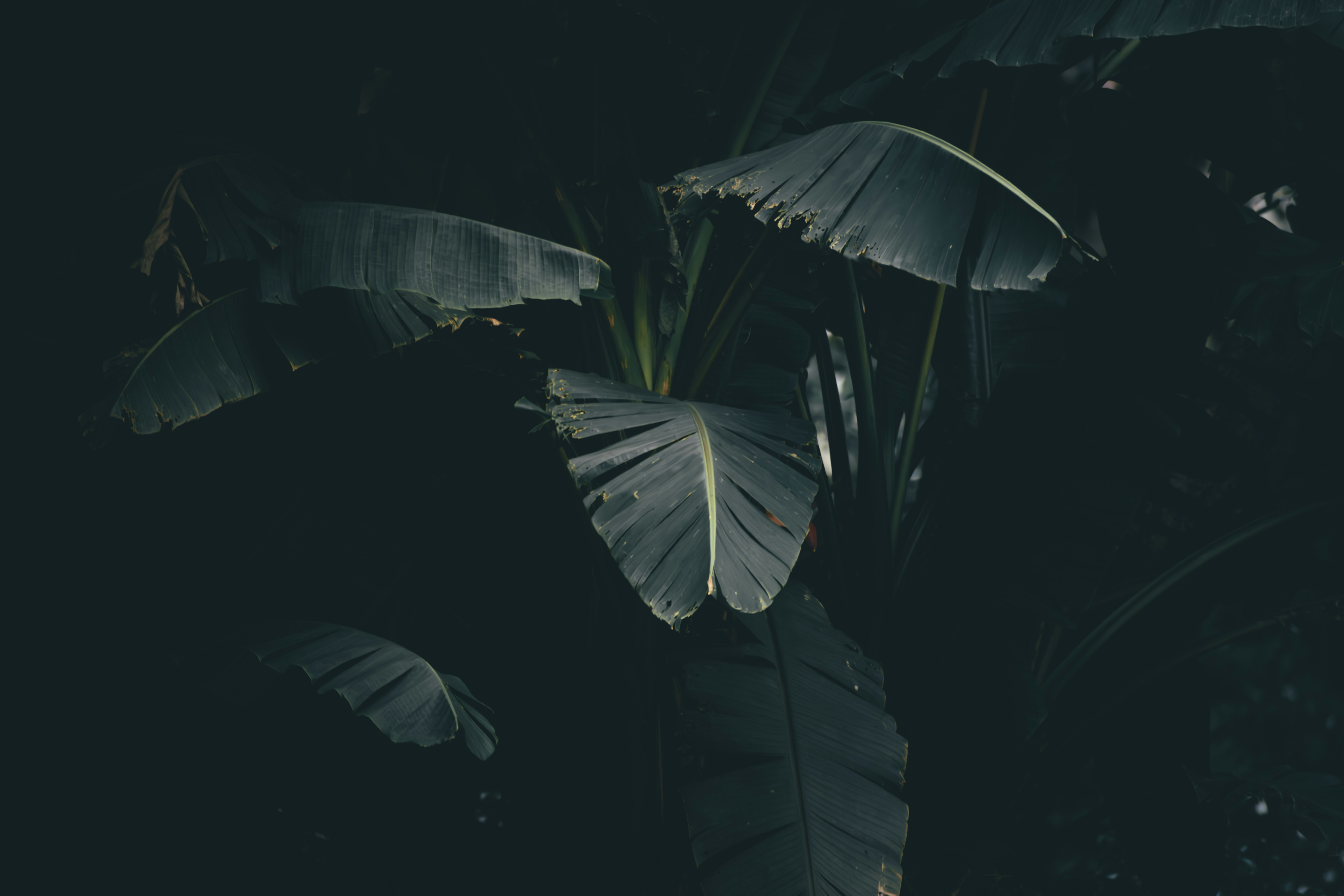 Photo by pramodtiwari