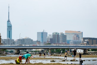 A group of people are engaged in activities on a sandy riverbank with a bridge and city skyscrapers in the background. The skyline includes modern buildings and a prominent tower. Several individuals, including children, appear to be digging or playing in the sand.