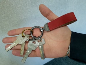a person holding a bunch of keys in their hand