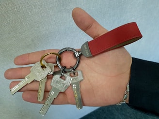 a person holding a bunch of keys in their hand
