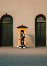 A uniformed guard is marching with a rifle over his shoulder. He is positioned in front of a brightly colored sentry box. The setting includes large doors and arched windows against a sandy-colored wall.