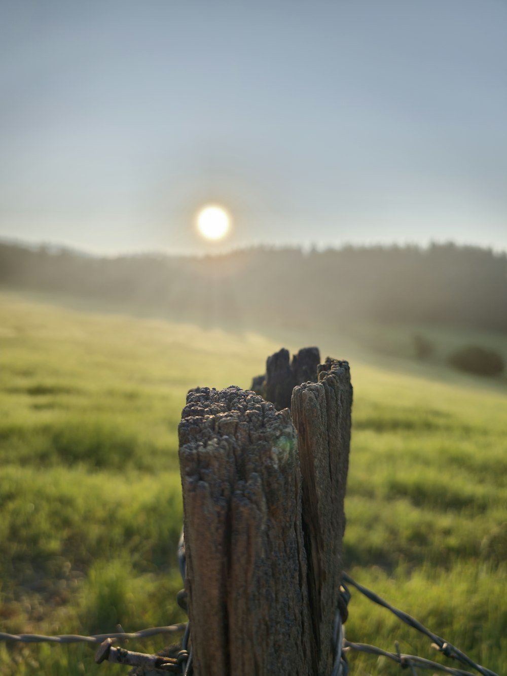 a fence post in a field with the sun in the background