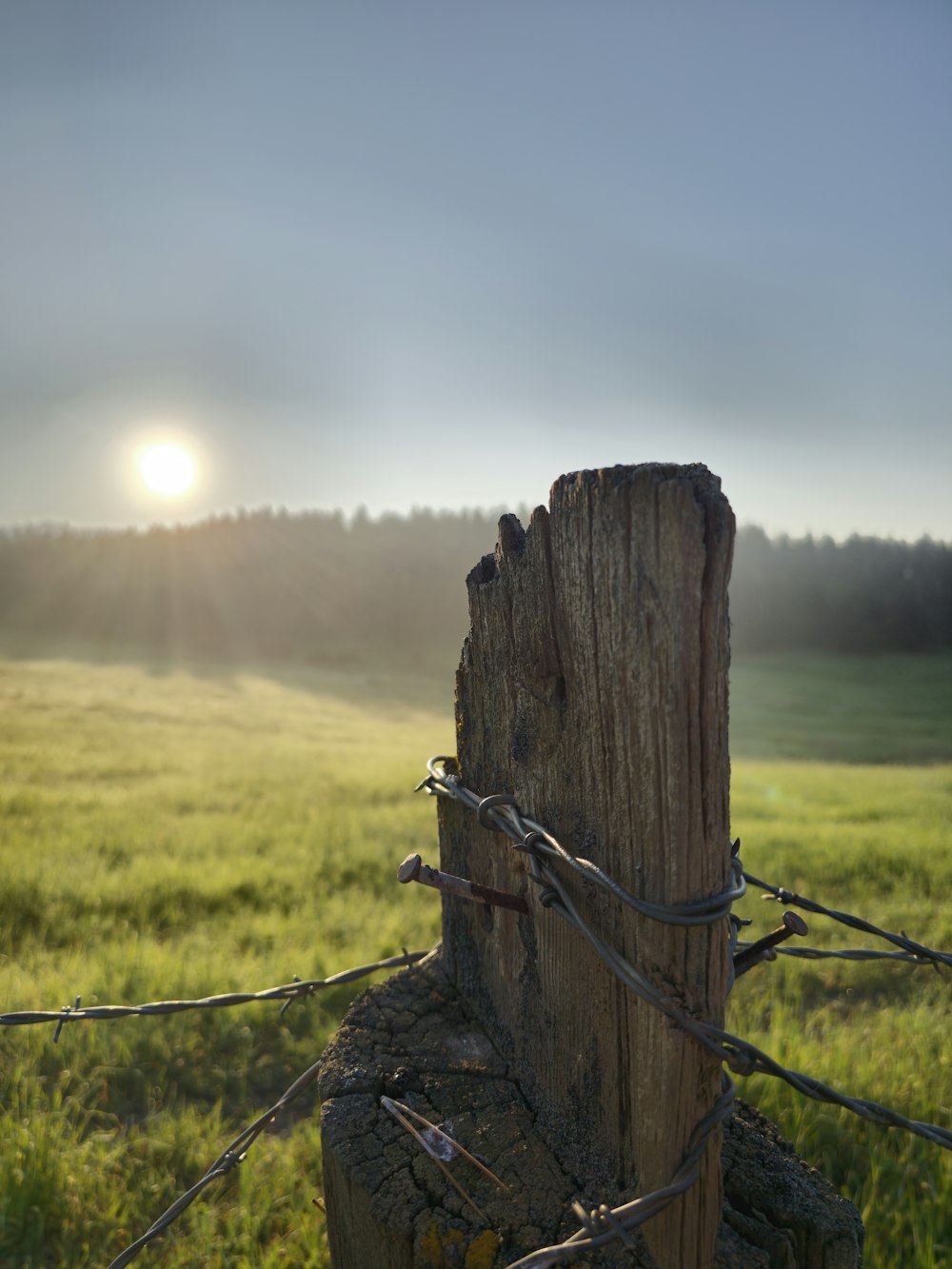 a fence post in a field with the sun in the background