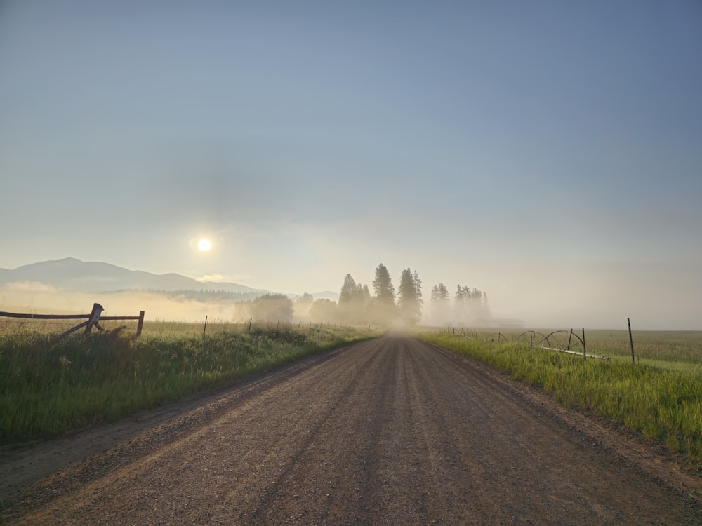 a dirt road in the middle of a grassy field