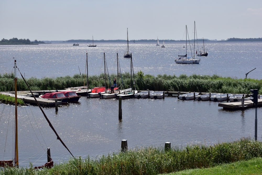 a group of boats that are sitting in the water