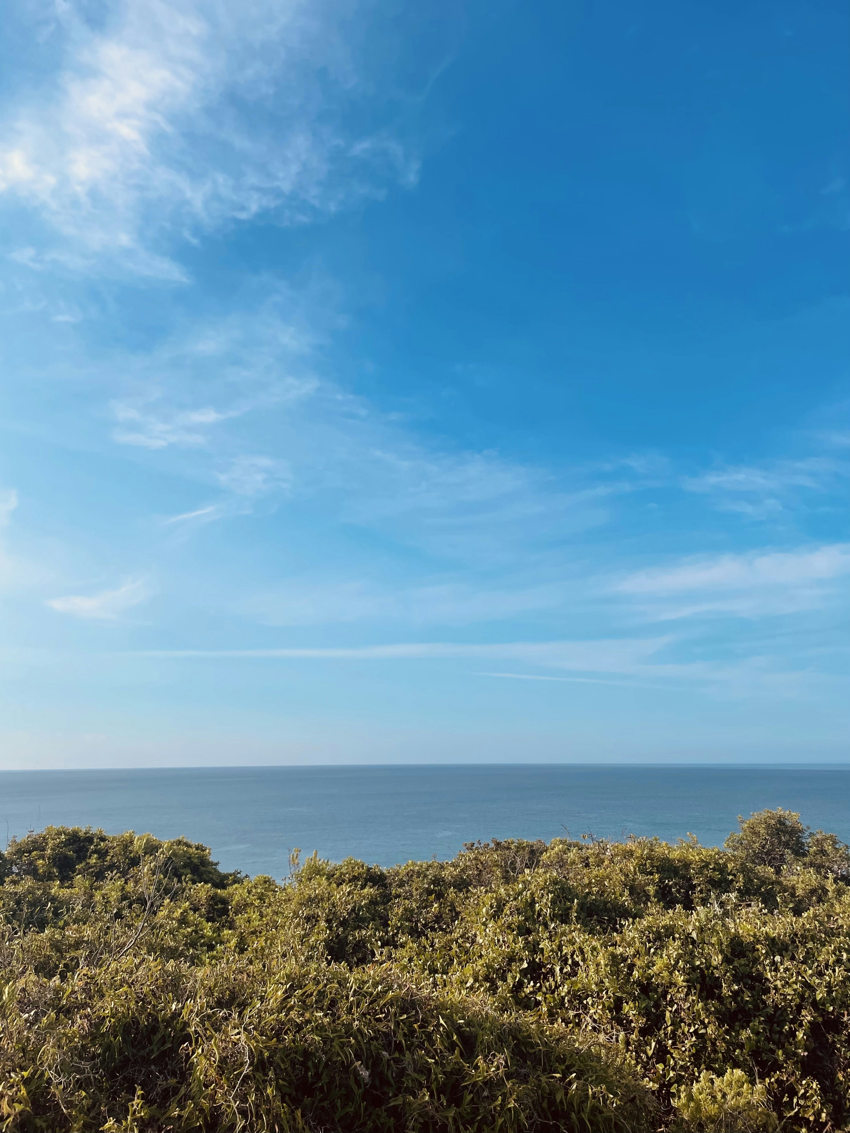 Photo by galifianakis