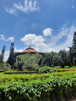 The lush green landscaped gardens creating a serene micro-climate within the complex.