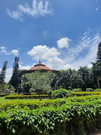 A serene green plot at Shri Hari Baug with clear blue skies.