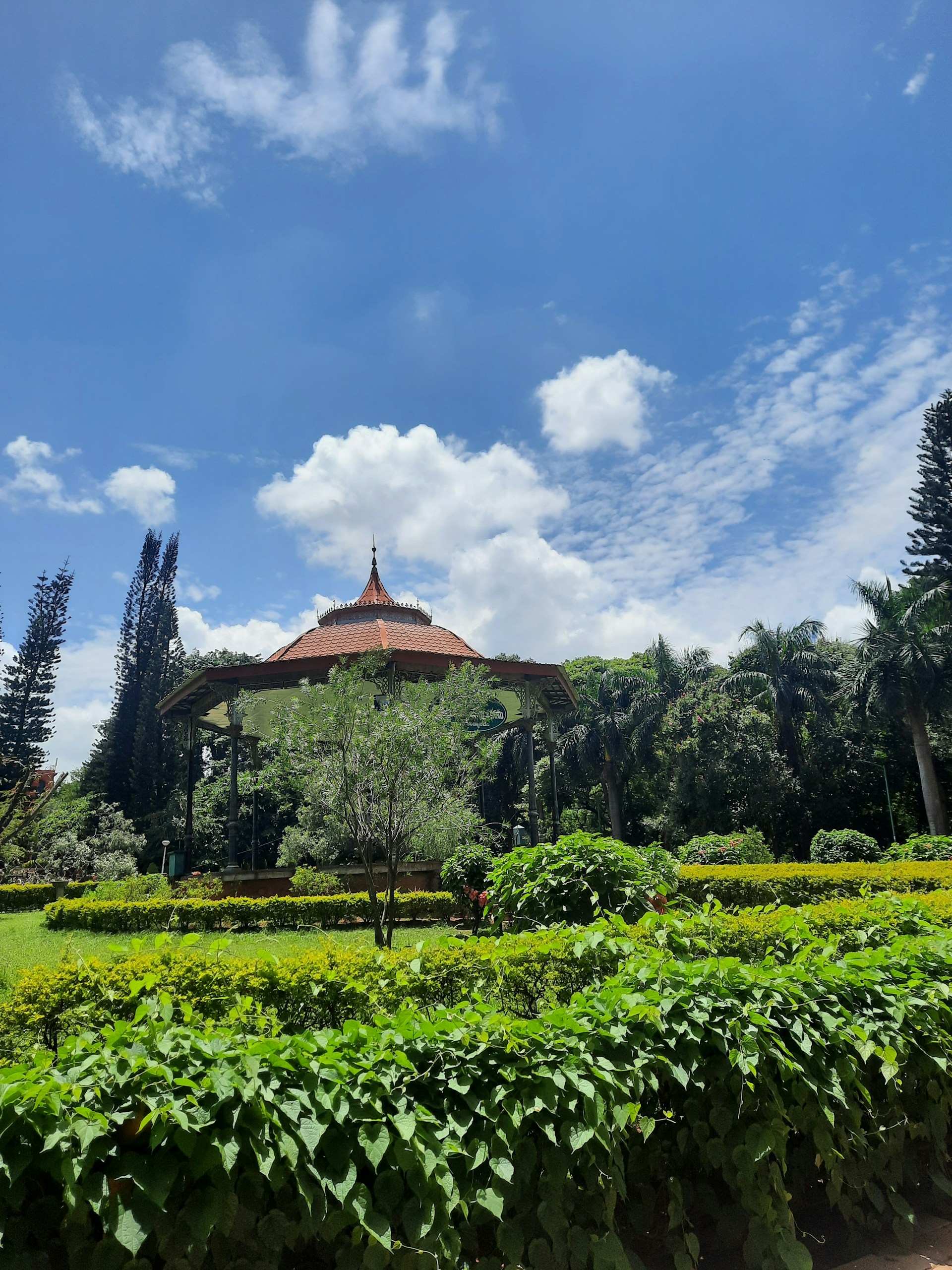 gray computer monitor