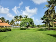 A lush, well-maintained garden with vibrant green grass and several palm trees. There is a small building with a red-tiled roof on the left side, surrounded by bushes. The sky is bright blue with a few scattered white clouds, creating a serene and tropical atmosphere.