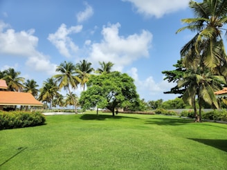 A lush, well-maintained garden with vibrant green grass and several palm trees. There is a small building with a red-tiled roof on the left side, surrounded by bushes. The sky is bright blue with a few scattered white clouds, creating a serene and tropical atmosphere.