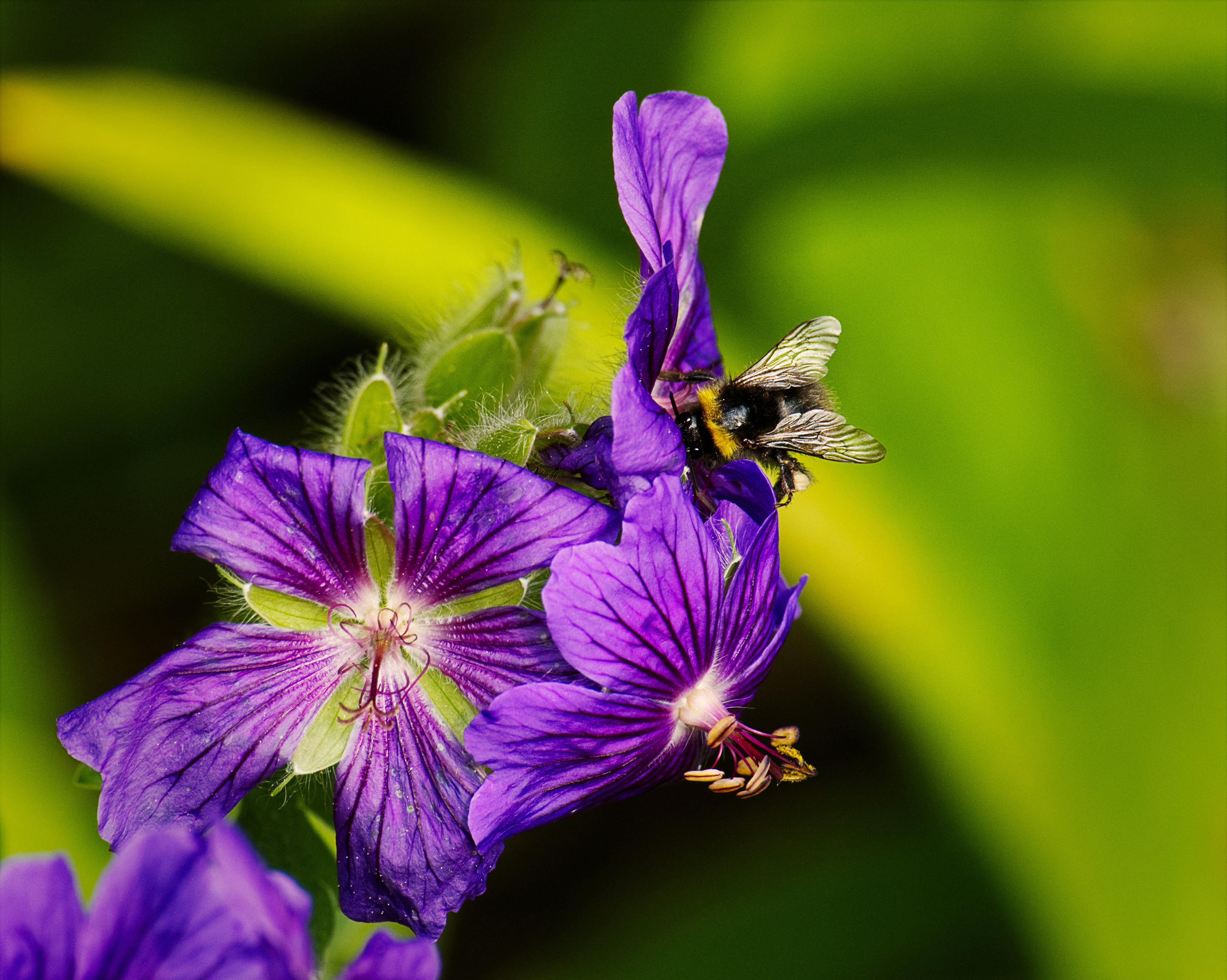 Photo by packetdiscards