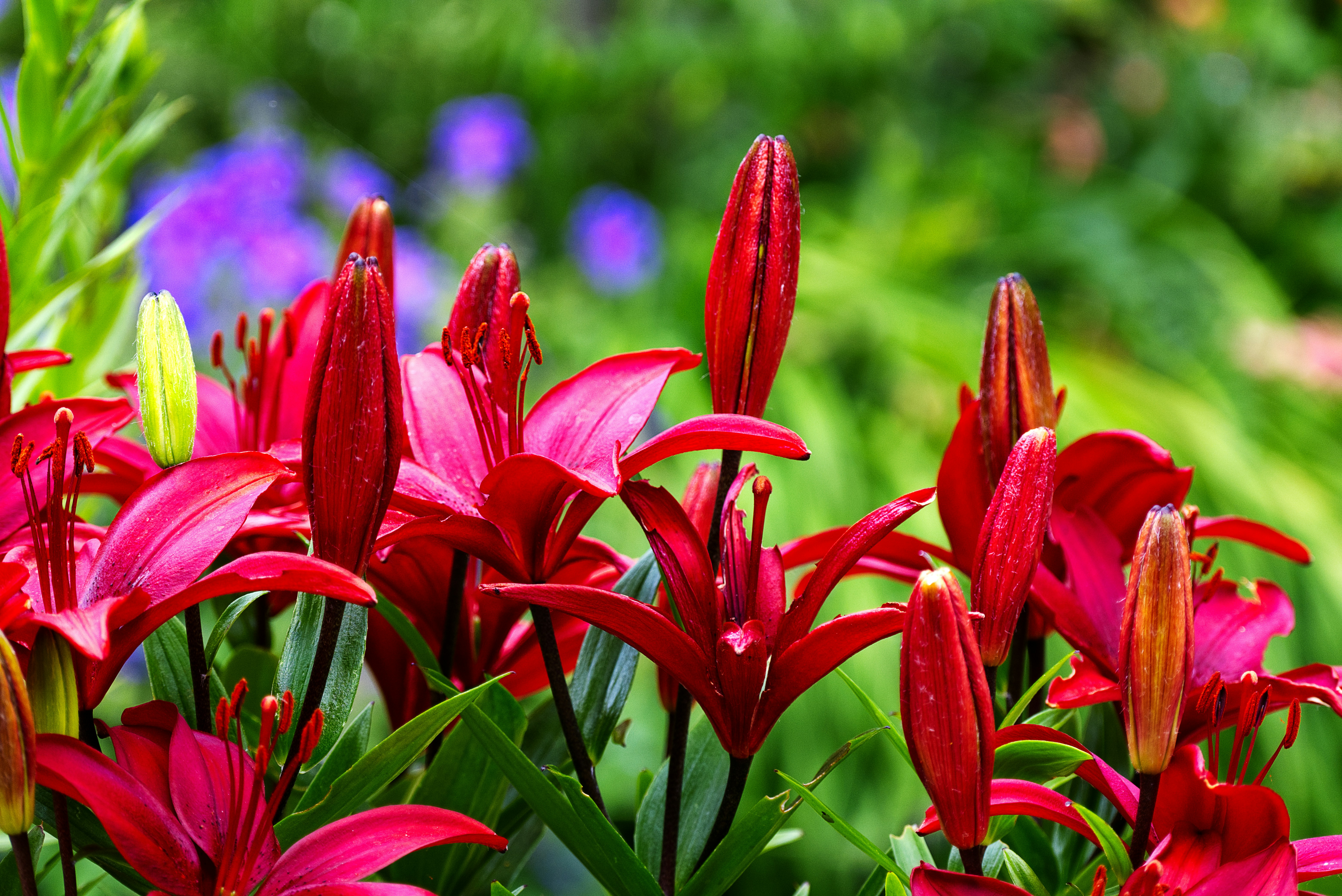 Photo by packetdiscards