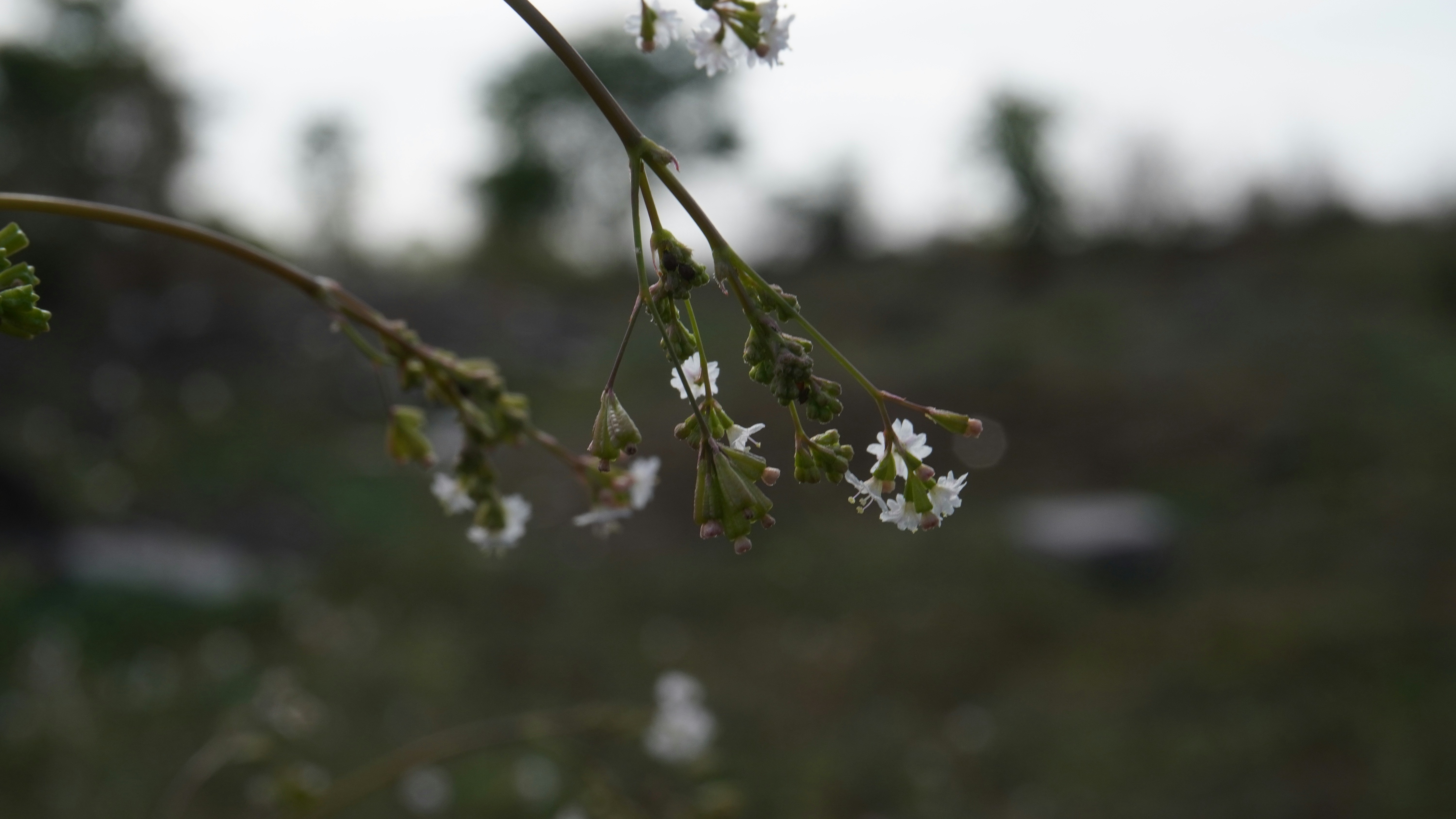 Photo by abhi7200