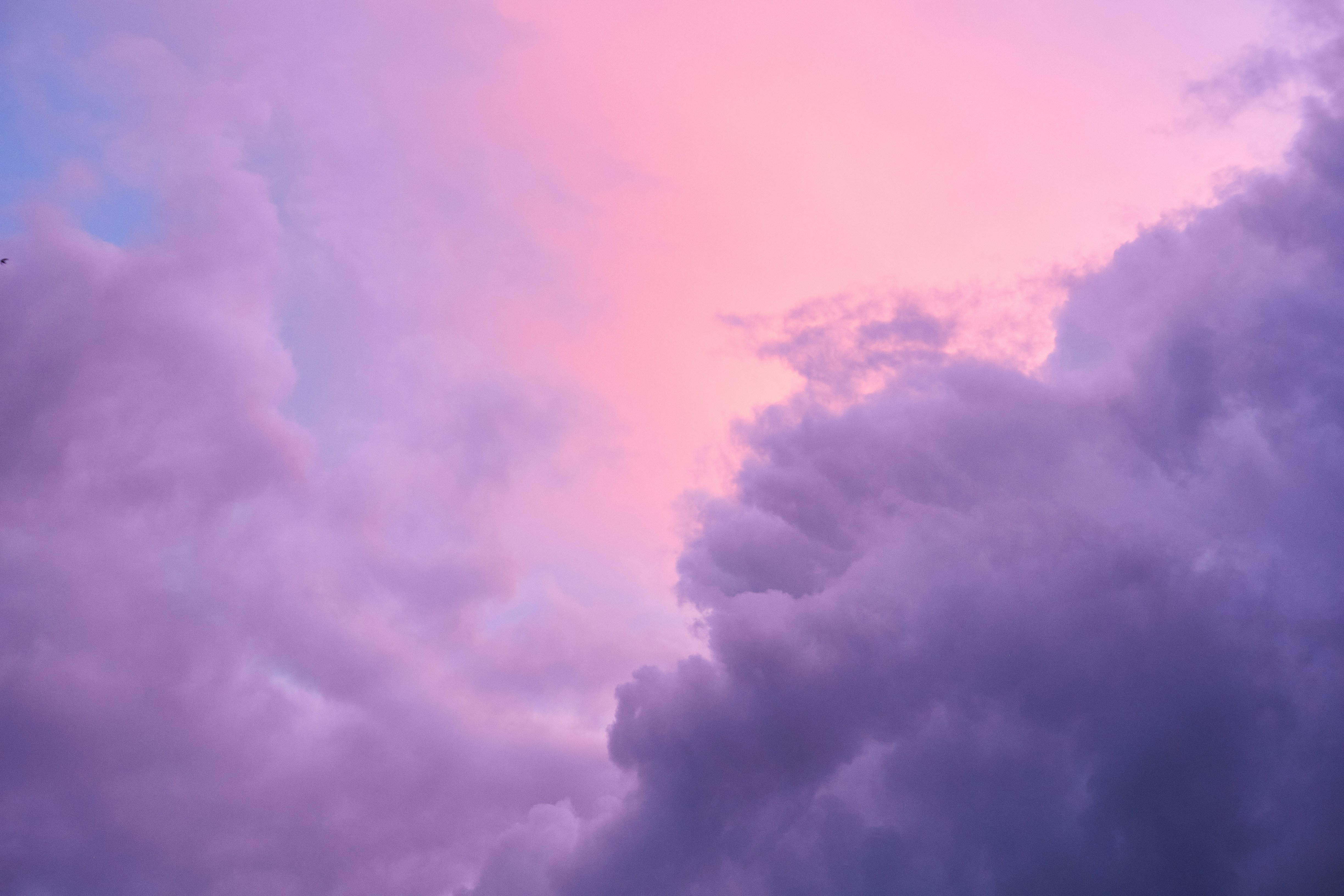 Photo by frostroomhead