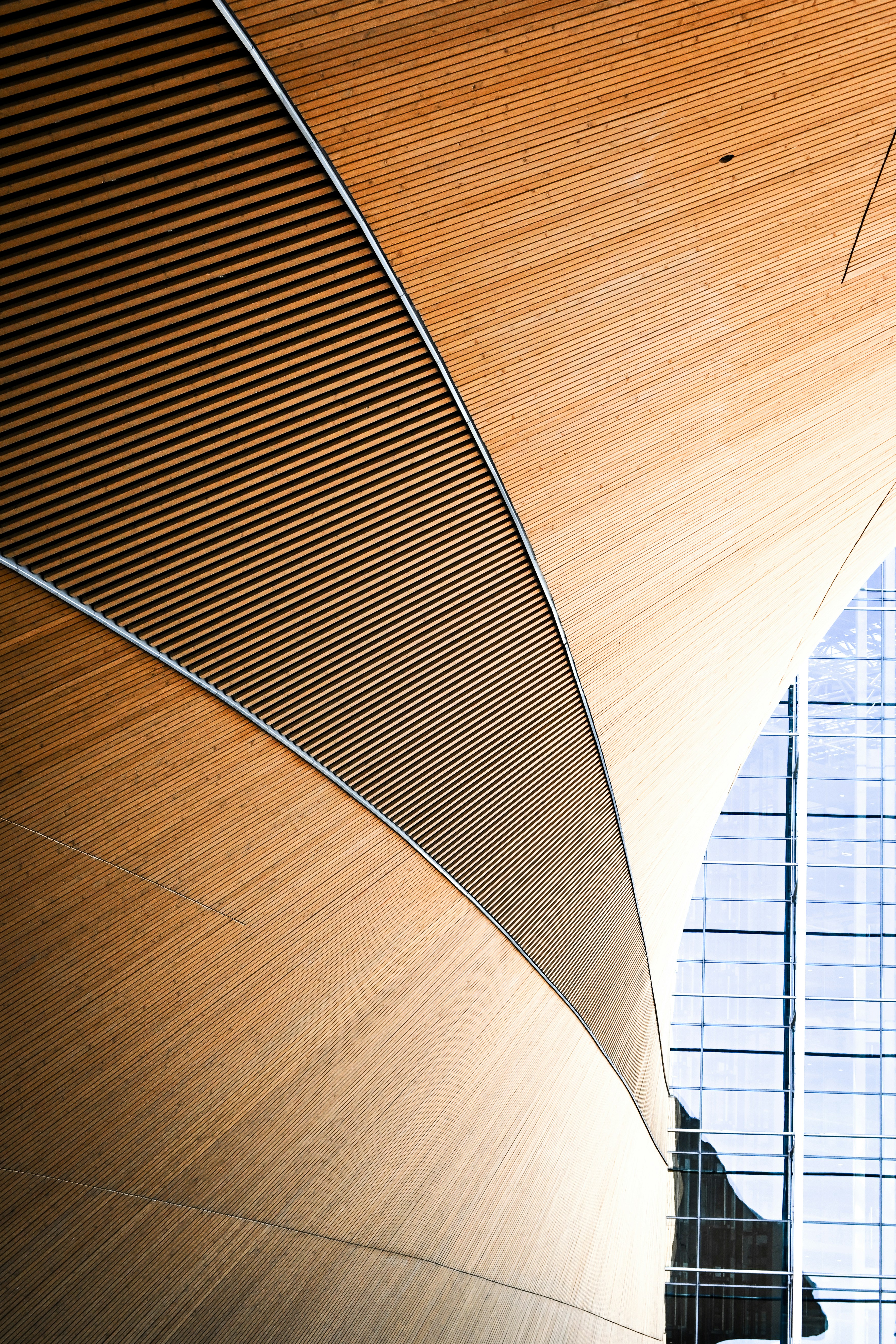 Photo by sylwiabartyzel