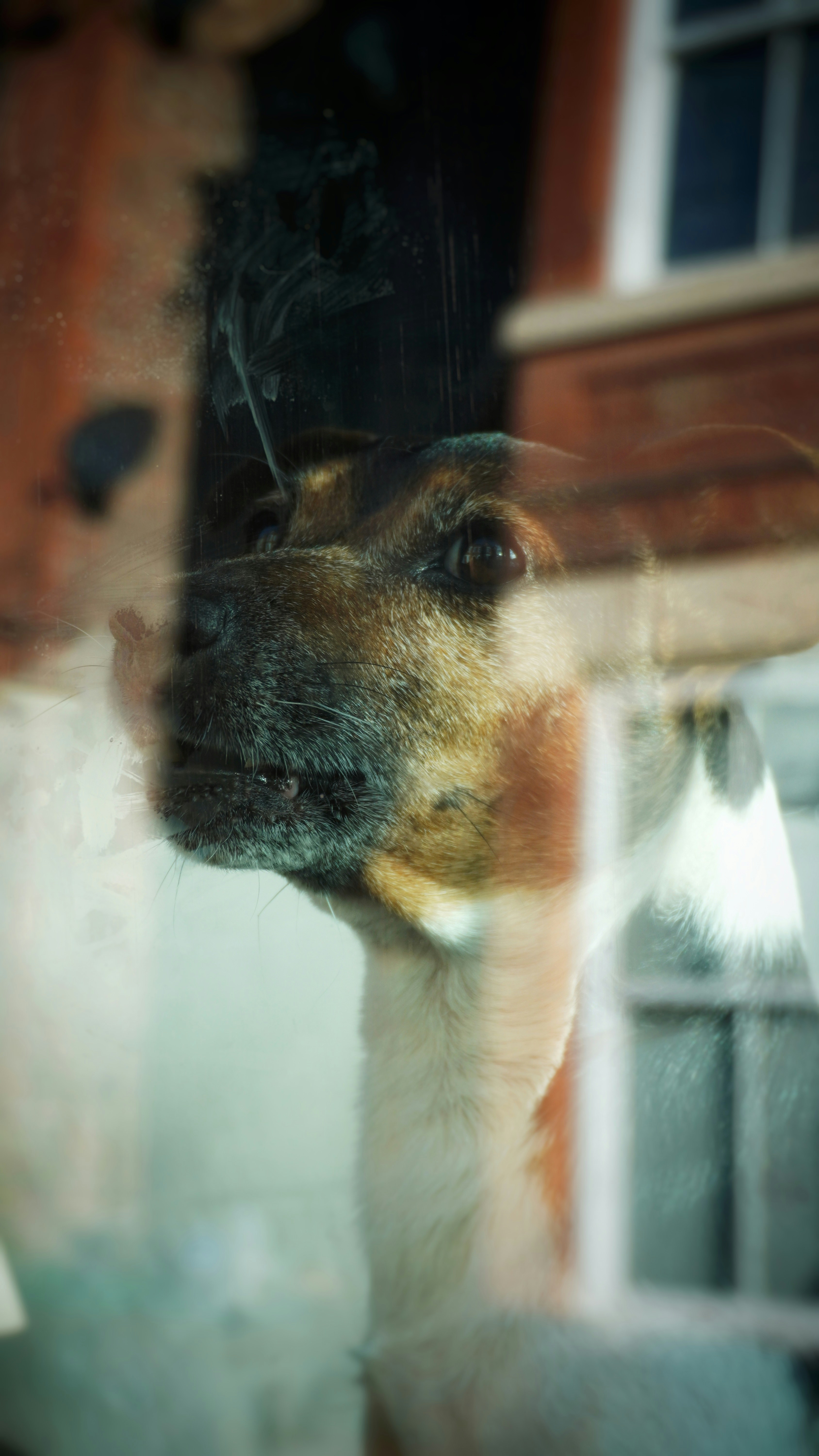 Photo by alexlostorto