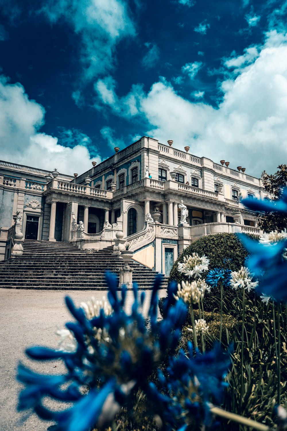 a large building with blue flowers in front of it