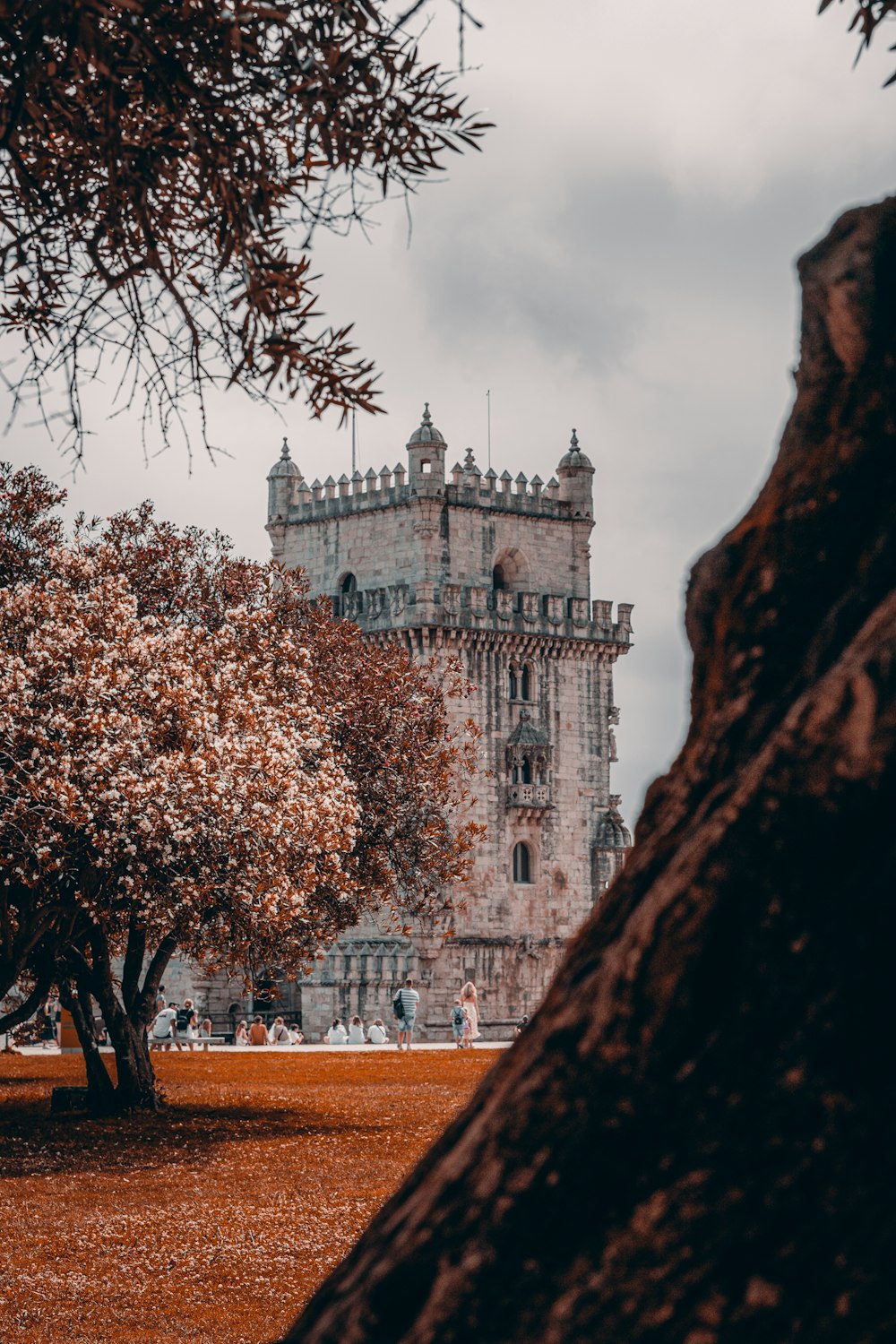 a tall tower with a clock on the top of it