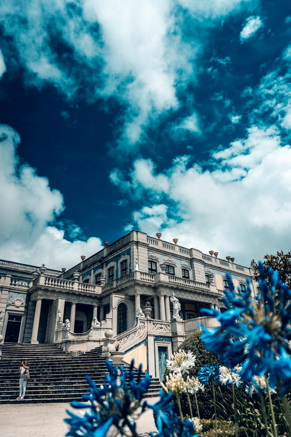 un grand bâtiment avec des fleurs bleues devant lui