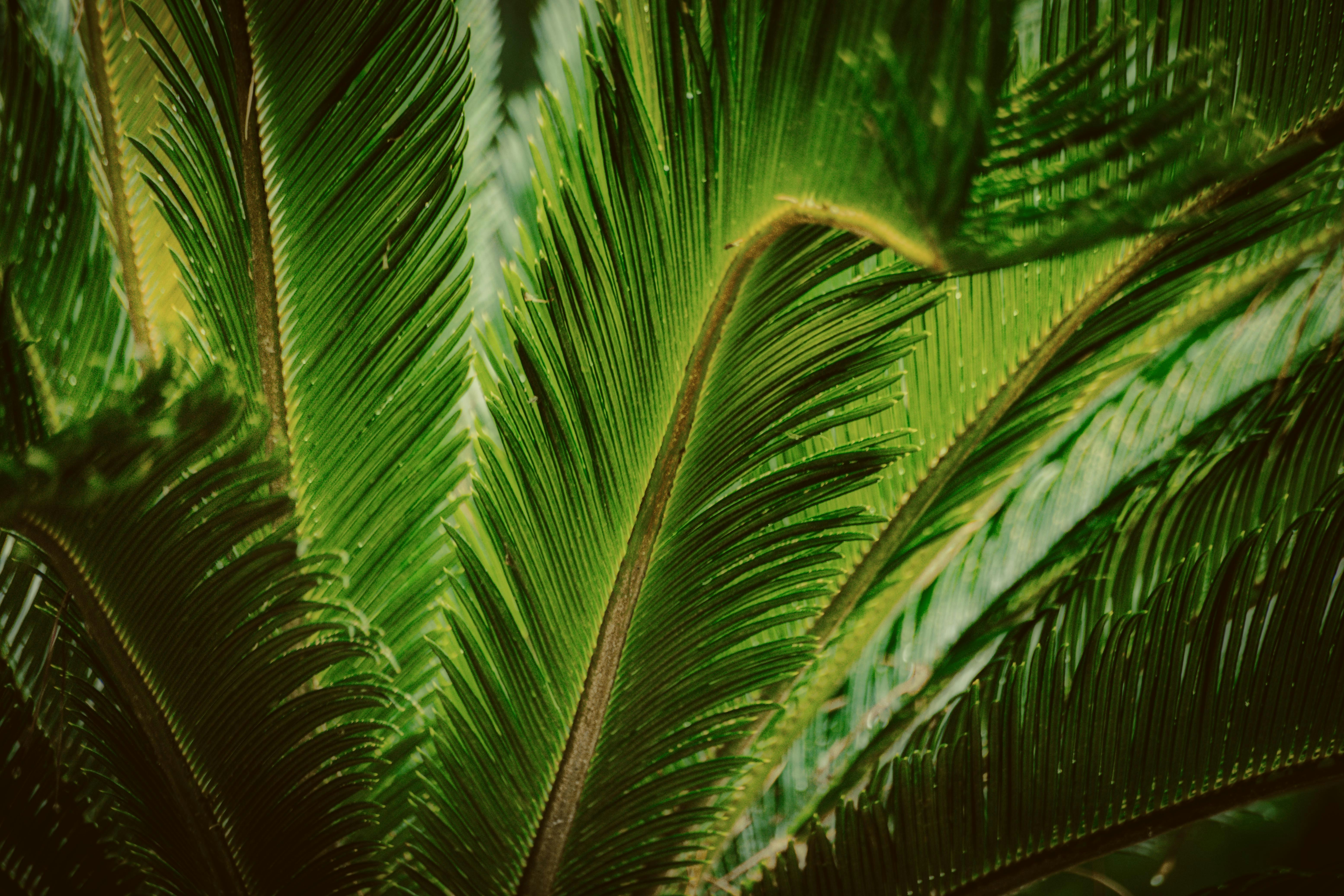 Photo by arizonanthony