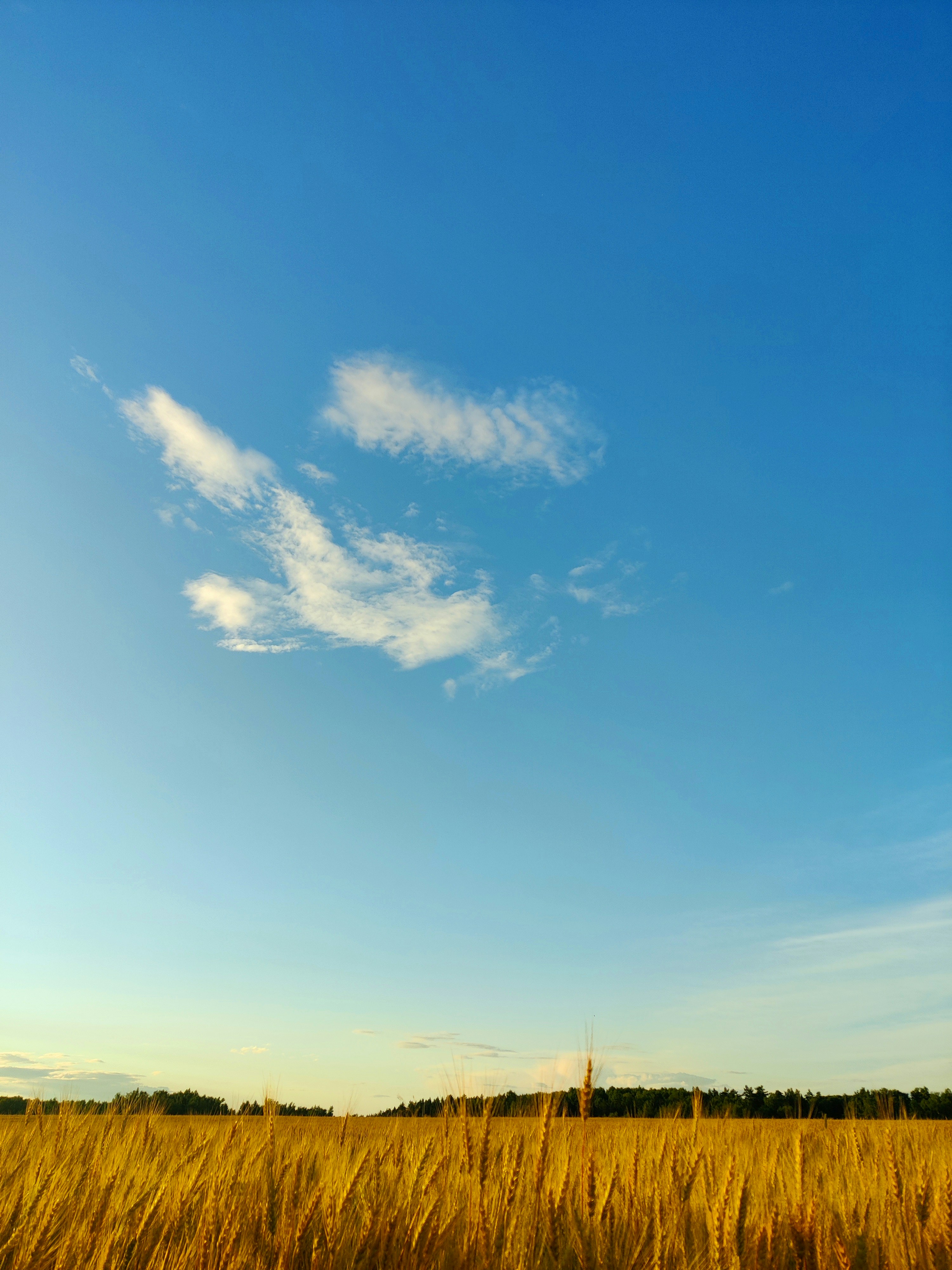 Photo by kozak_developer