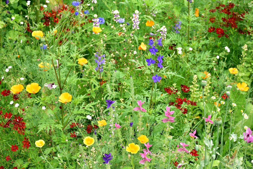 un ramo de flores que están en la hierba