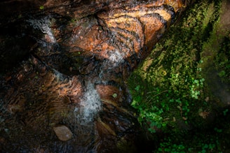 Water flows over moss-covered rocks with vibrant greenery surrounding it. The sunlight creates a textured play of light and shadows on the surface of the water and rocks.