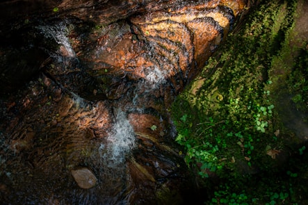 Water flows over moss-covered rocks with vibrant greenery surrounding it. The sunlight creates a textured play of light and shadows on the surface of the water and rocks.