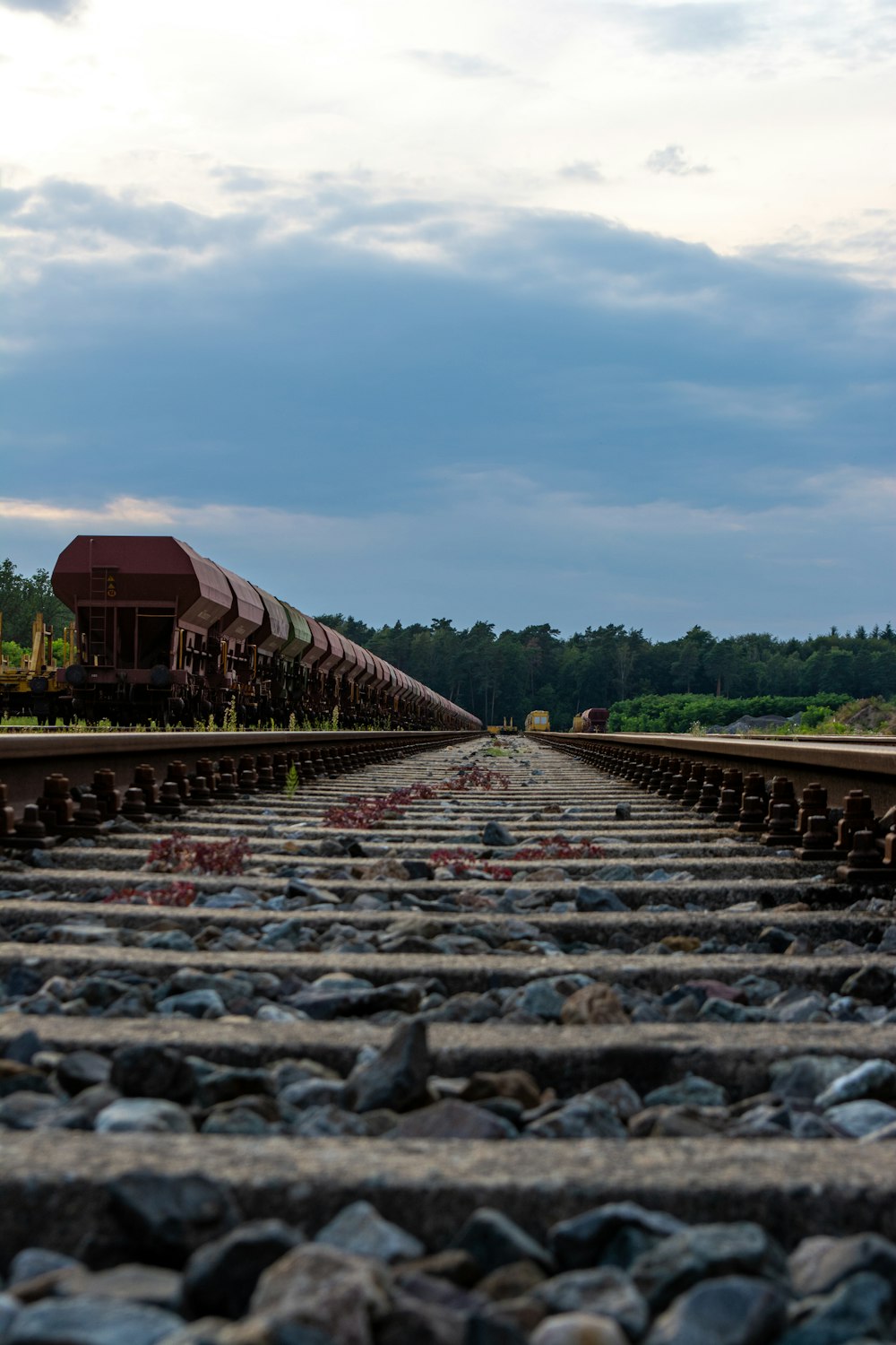 a train traveling down train tracks next to a forest